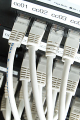 Image showing network cables