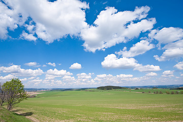 Image showing green field