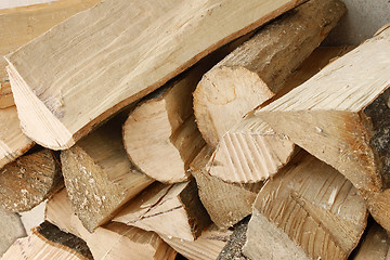 Image showing Heap of hornbeam firewood