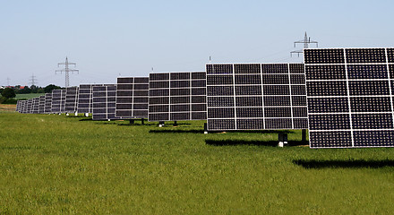 Image showing solar plants in the rows