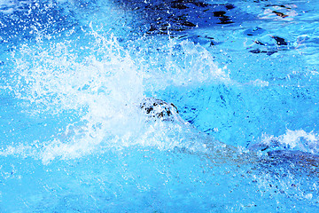 Image showing jump into the water