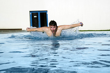 Image showing a butterfly hobby swimmer in aktion