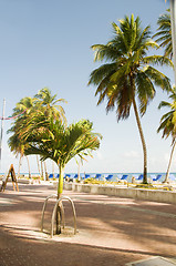 Image showing waterfront promenade beach palm trees San Andres Island Colombia