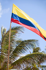 Image showing flag of Colombia blowing in breeze palm coconut trees