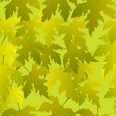 Image showing Grape leaves seamless pattern