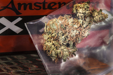 Image showing Dutch Weed with Amsterdam logo