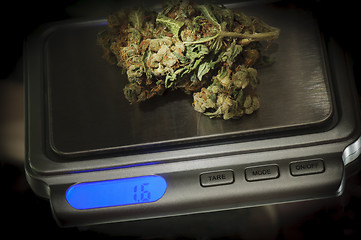 Image showing Weed on a marijuana scale