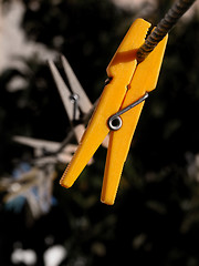 Image showing Clothespin