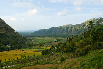 Image showing Bali Landscape