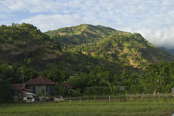 Image showing Bali Fields