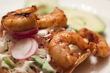 Image showing Shrimp Tostadas