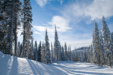 Image showing Sun Peaks