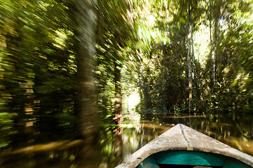 Image showing Canoe in Amazon Rainforest