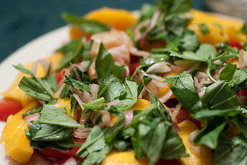 Image showing Green salad with mango and tomatoes