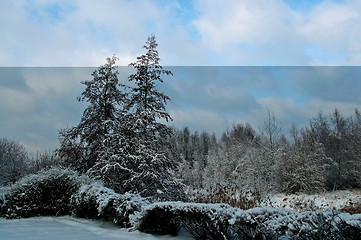 Image showing Winter landscape