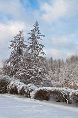 Image showing Winter landscape