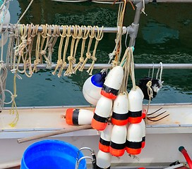 Image showing Bouys