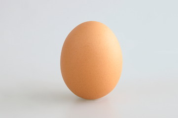 Image showing Single Egg