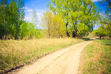 Image showing rural road among a green forest