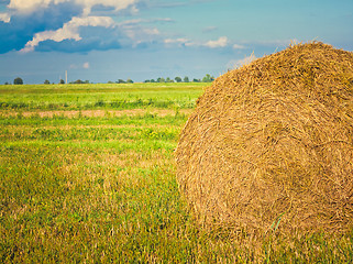 Image showing harvested field with straw bales in summer