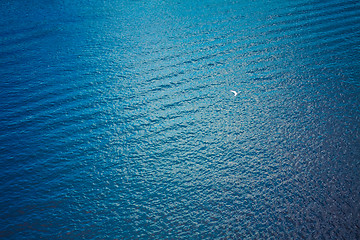 Image showing white seagull flying over deep blue waves