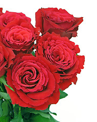 Image showing Rose Bouquet