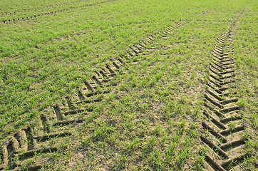 Image showing background fields spring tractor wheel marks 