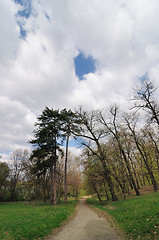 Image showing Road in park