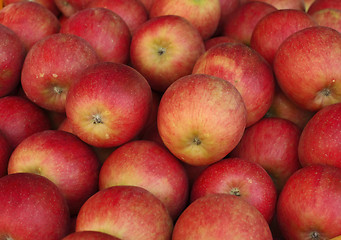 Image showing Apples