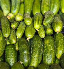 Image showing Cucumbers for sale on market place