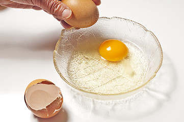 Image showing egg