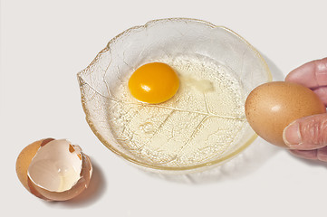 Image showing egg