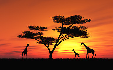 Image showing African Sunset