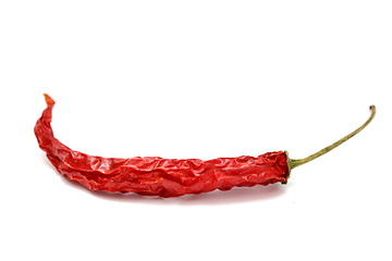 Image showing red chilli pepper
