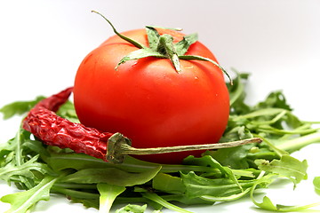 Image showing tomato on ruccola bed