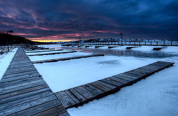 Image showing Cypress Hills Alberta