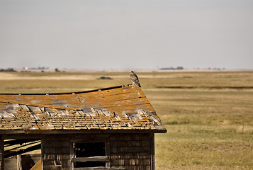 Image showing Rural Saskatchewan