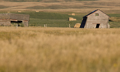 Image showing Rural Saskatchewan