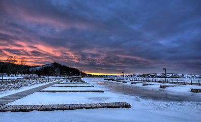 Image showing Cypress Hills Alberta