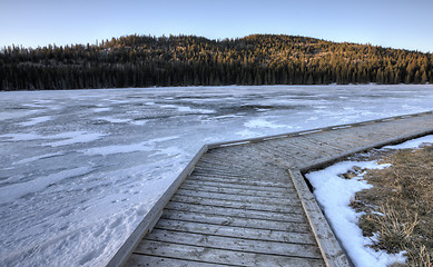 Image showing Cypress Hills Alberta