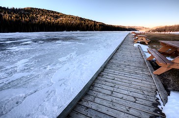 Image showing Cypress Hills Alberta