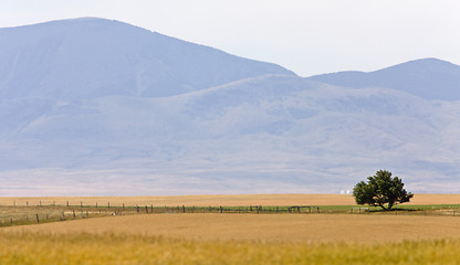 Image showing Southern Alberta Rural Scene Prairie