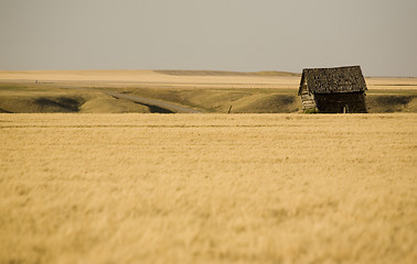 Image showing Rural Saskatchewan