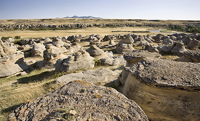 Image showing Milk River Alberta Badlands