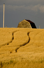 Image showing Rural Saskatchewan