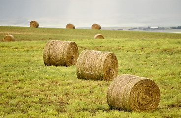 Image showing Rural Saskatchewan