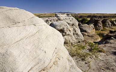 Image showing Milk River Alberta Badlands