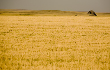 Image showing Rural Saskatchewan