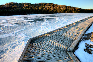 Image showing Cypress Hills Alberta