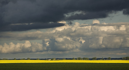 Image showing Rural Saskatchewan